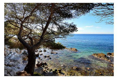 Suquet26 Διαμέρισμα Κάννες Εξωτερικό φωτογραφία